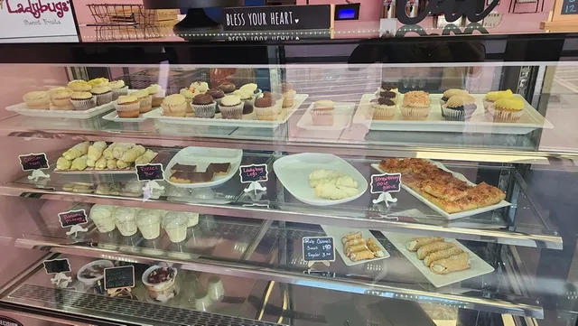 Ladybugs Sweet Treats