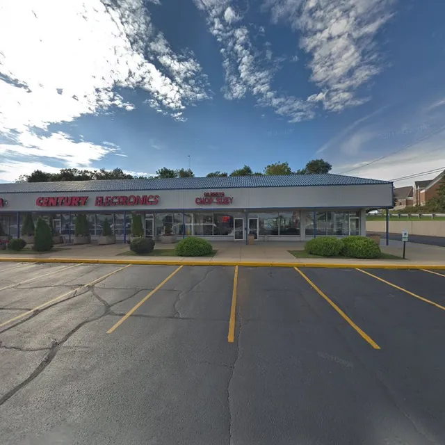 Century Electronics Services