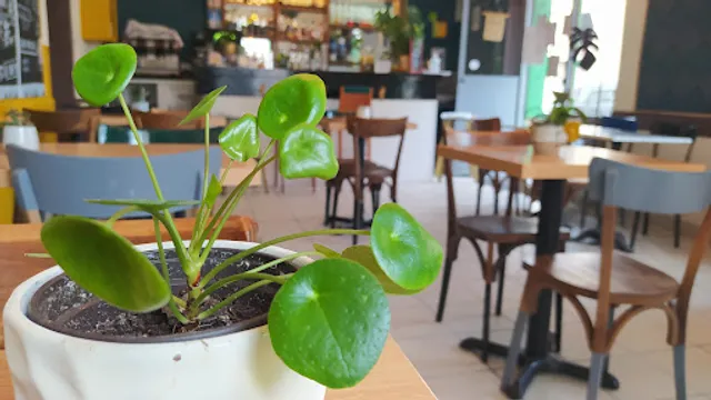 La Tamtamerie - Restaurant /Bar Villeurbanne