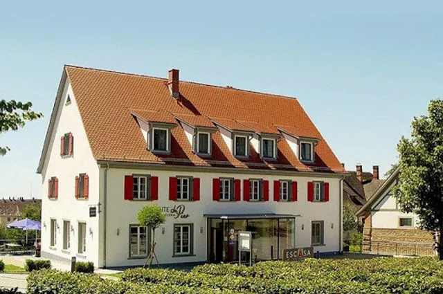 Pizzeria Ristorante Ambiente da Pino