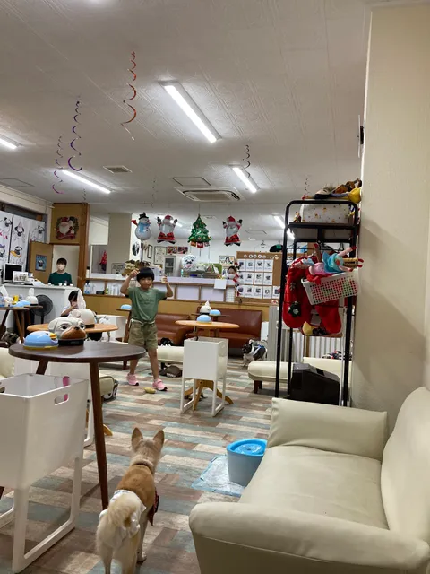 Pagu Cafe & Dog Salon Wan