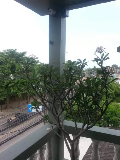 ห้องพัก ริมหาดจอมเทียน Hiss Sty พัทยา