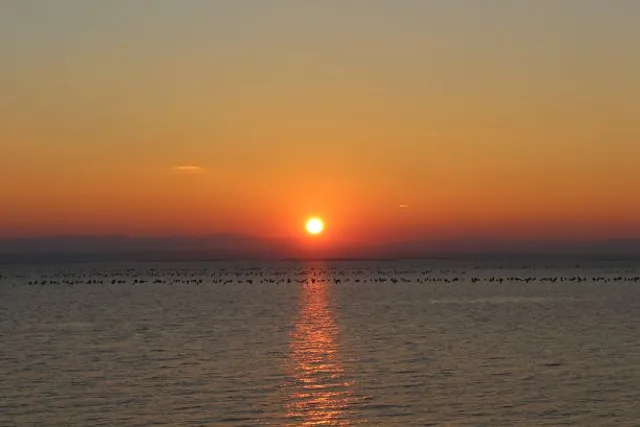 Ofriniou GR Sunrise apartments