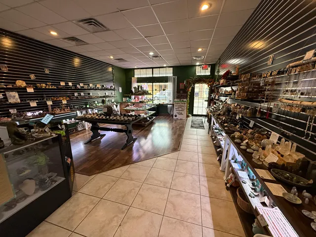 Rogue Turtle Designs