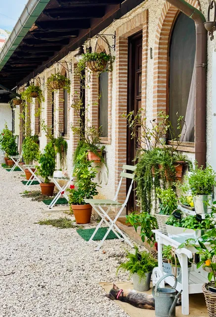 Affittacamere Country House