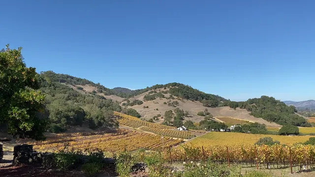 Shifflett Ranch & Vineyard