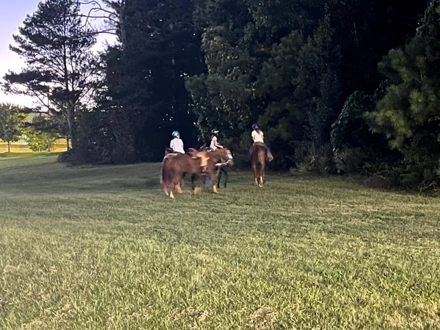 Wild Horse Creek Park Equestrian Center