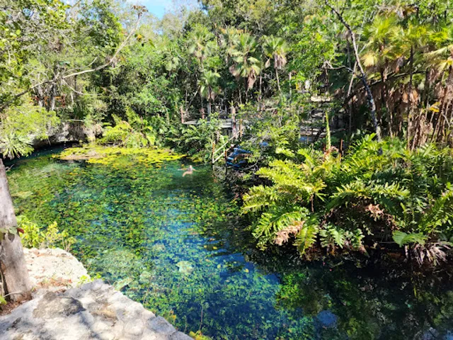 Cenote Nic Te Ha