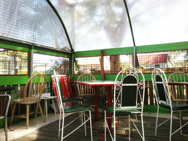 The Green Lime Eco-Cafe and Juice Bar