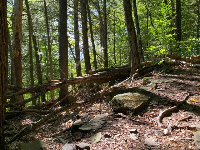 Tanbark Loop Trailhead