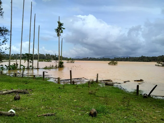 Kelantan River