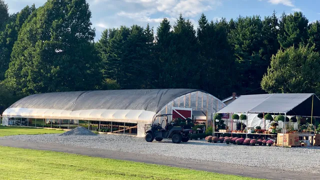 Mountain View Acres Plants and Produce