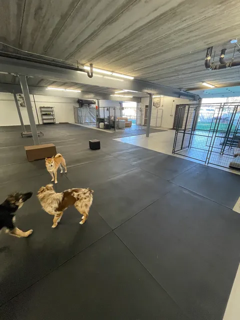 Greggerson’s K9 Care