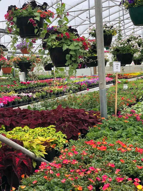 Windy Ridge Greenhouse
