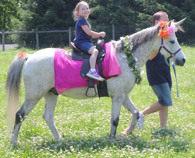 A Traveling Petting Zoo and Pony Rides by Sleepy Hollow Farm