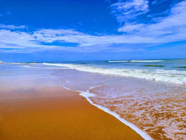 Dog-Friendly Beach Access Ormond Beach