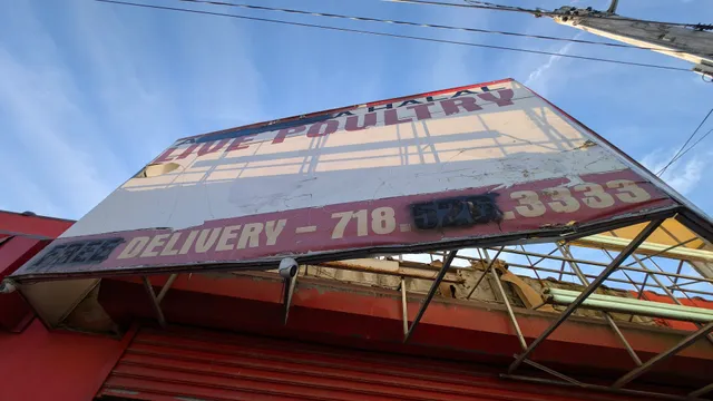 Al-Madina Live Poultry Corporation