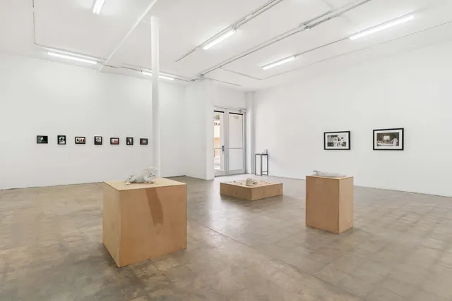 Mindy Solomon Gallery