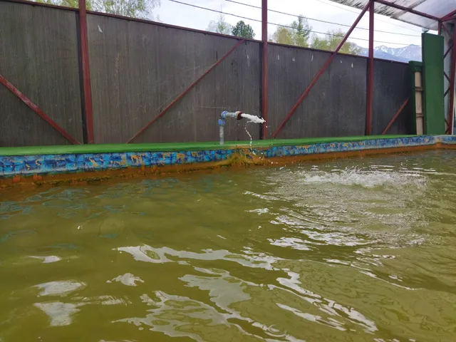 сельское поселение Аршан