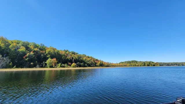 Pillsbury State Forest