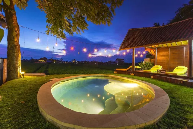 Big Brother Surf Camp