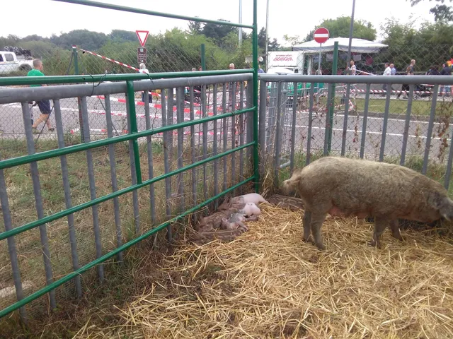 Centro Fiere Montano Lucino