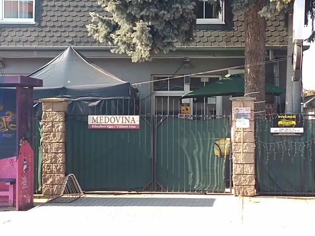 Pivaren Lemon - Craft Beer