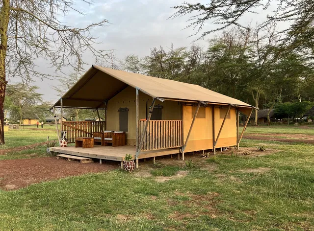 Africa Safari Lake Manyara