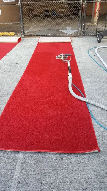 Magic Carpet Steam Cleaning