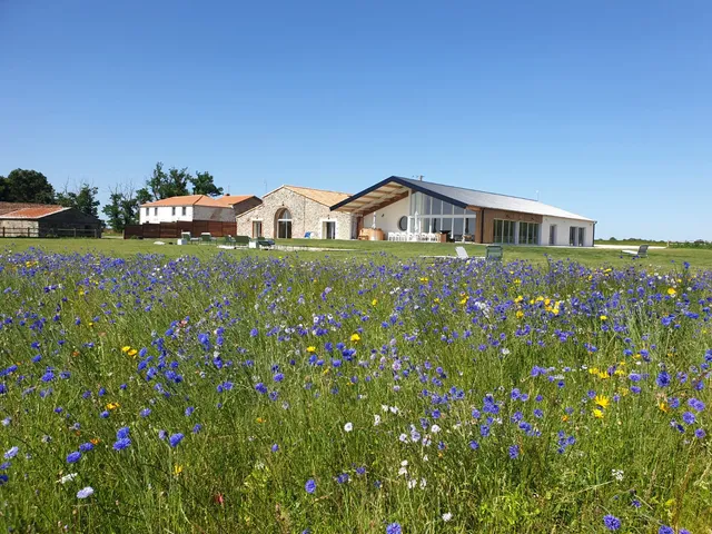 Domaine Quatre Plumes