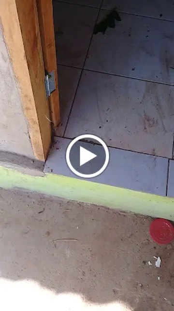 Padaria Sagrada Família