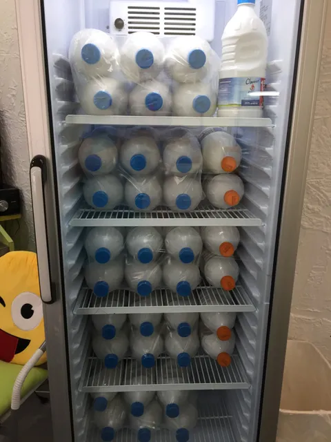 Gelateria Degli Angeli