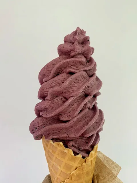 The Twisted Berry Frozen Yogurt Food Truck