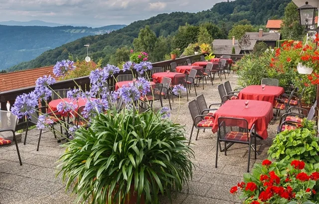 Panorama-Landgasthof Ranzinger