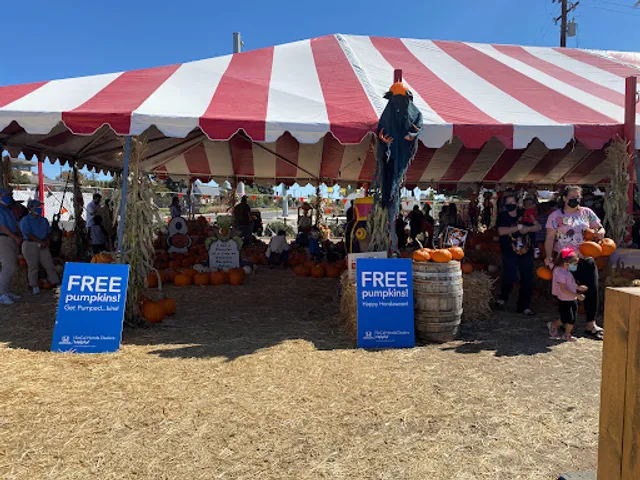 Whittier pumpkin patch and Christmas trees
