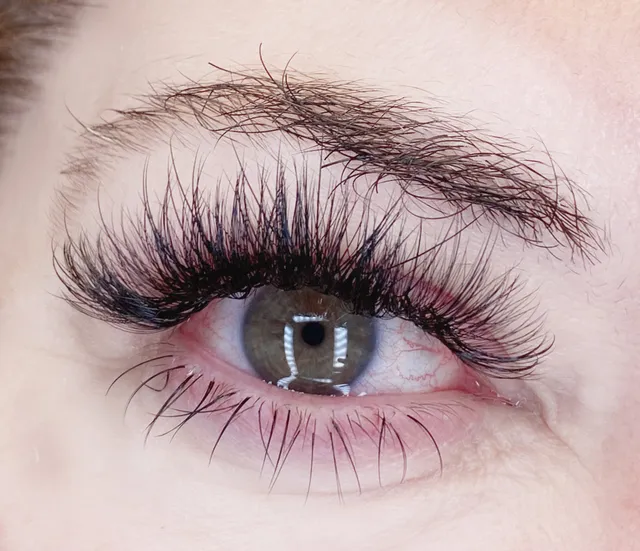 Bee lash Studio| 30% off New client | Accept refills from others