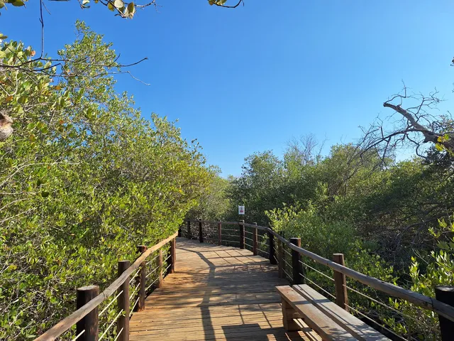 Mangrove Bridge site