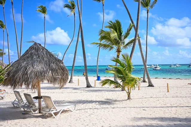 Everything Punta Cana