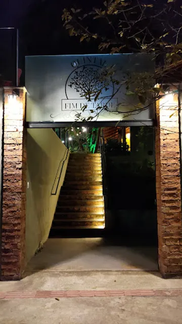 Quintal Fim de Tarde