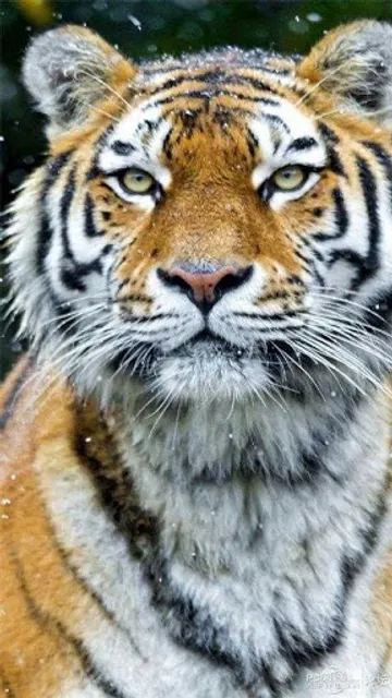 Padarias Pão Quente