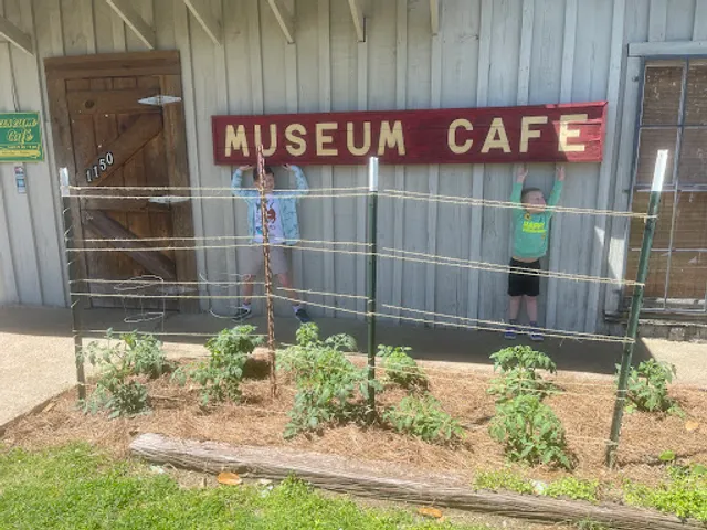 George's Museum Cafe