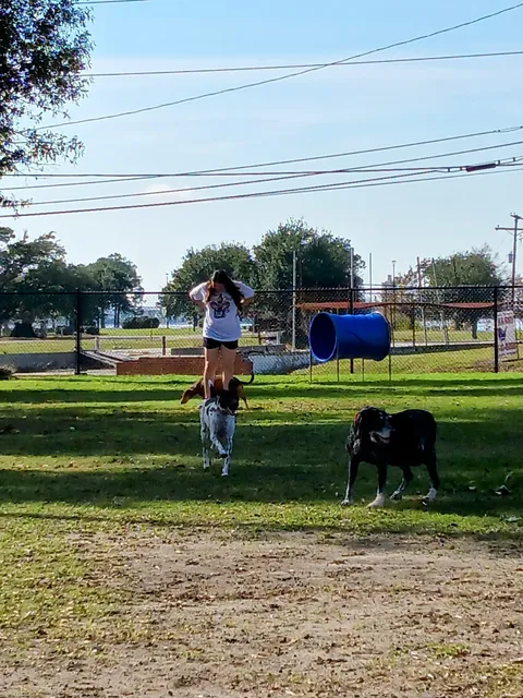 Bark Du Lac Dog Park