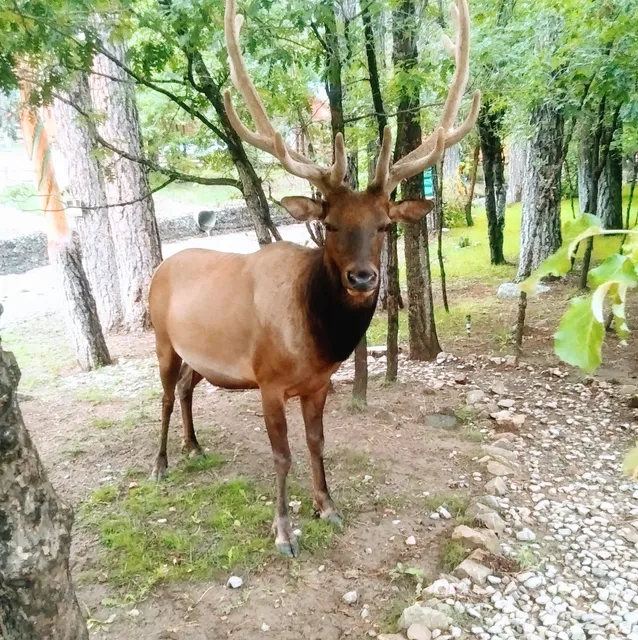 Ruidoso Valley Chamber of Commerce and Visitor Center