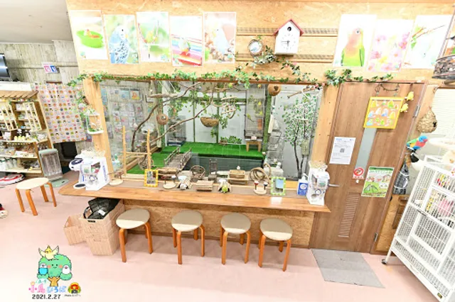 Morinomiya Kotori Hiroba