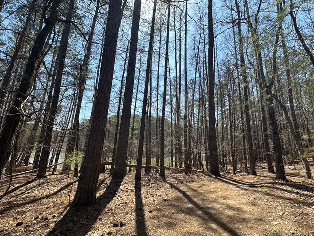 Red Top Mountain State Park Trading Post
