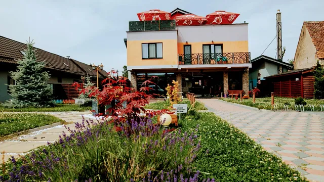 Pensiunea Confort Morosanu