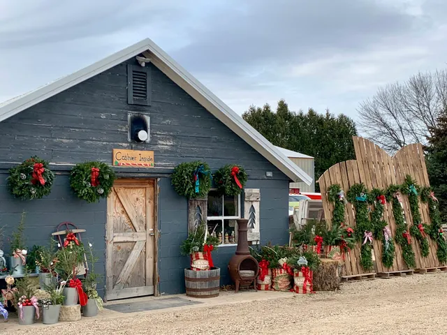 East Wind Christmas Tree Farm