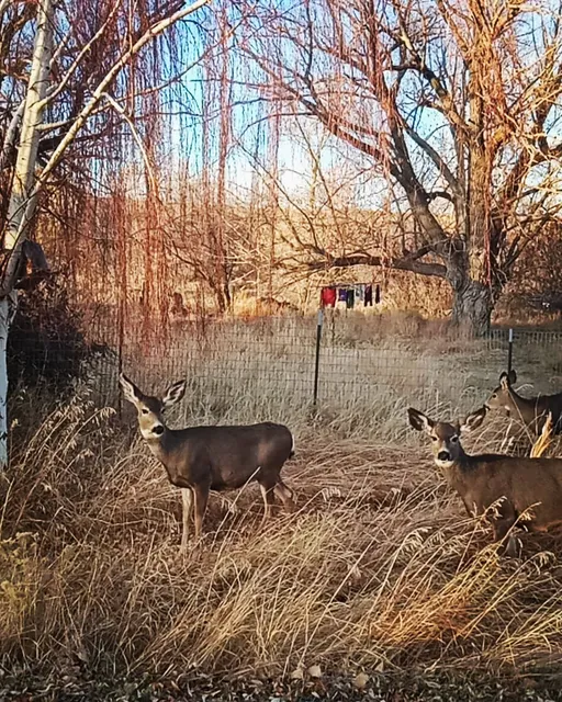 Refuge Church Paisley