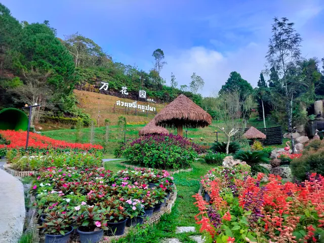 Winter Flower Garden in Betong