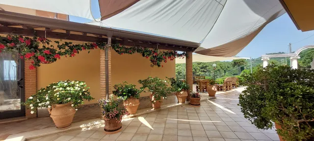 Bellavista Versilia - Bed and Breakfast